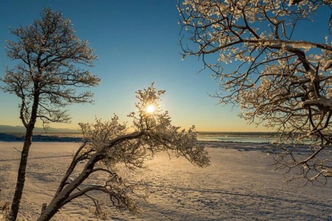 Anchorage: Sunset Photo Safari - Frequently Asked Questions