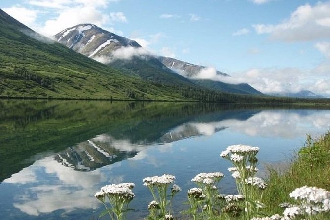 Anchorage to Seward Cruise Transfer and Private Tour - Group Size and Pricing