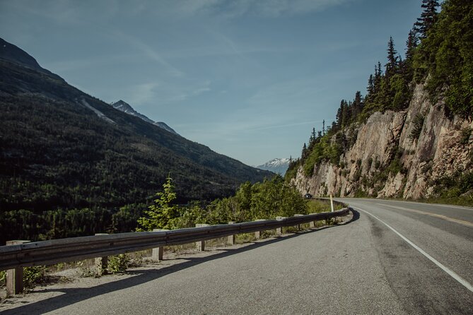 Anchorage to Seward- Pre-Cruise Curated Wildlife Tour +Transfer - Highlights and Scenic Stops