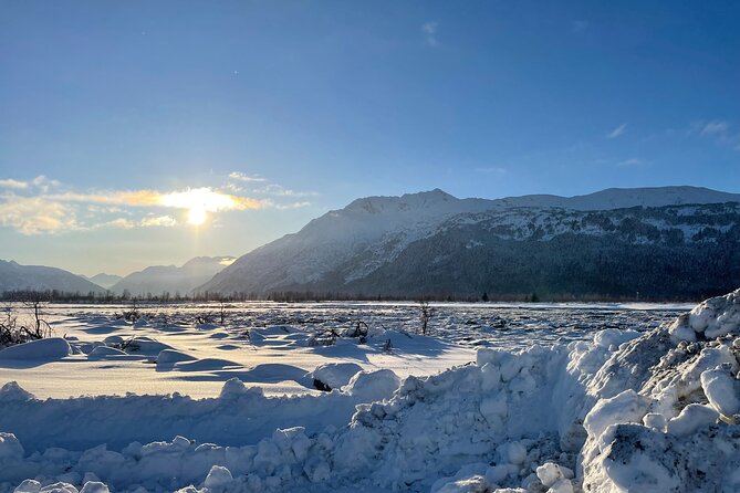 Anchorage to Seward- Pre-Cruise Curated Wildlife Tour +Transfer - Guides and Personalized Experiences