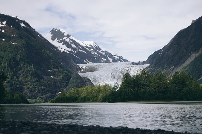 Anchorage to Seward- Pre-Cruise Curated Wildlife Tour +Transfer - Comfort and Convenience Factors