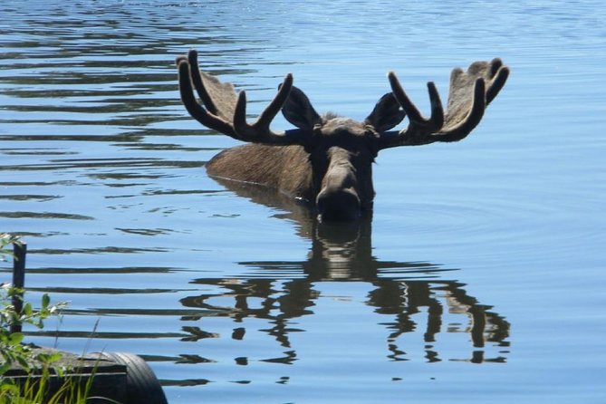 Anchorage to Whittier Cruise Transfer and Private Tour - Cruise Transfer Options