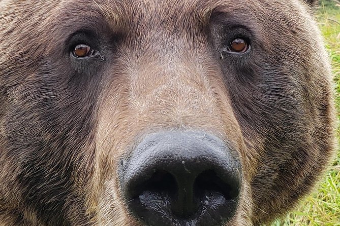 Anchorage to Wilderness Wildlife Glacier Value - Additional Information