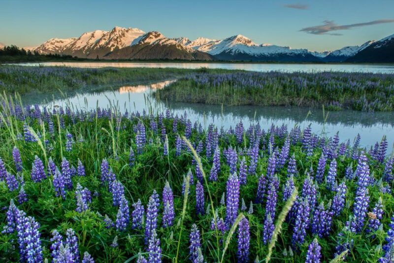 Anchorage: Turnagain Arm Highlights Photography Day Trip - Key Points