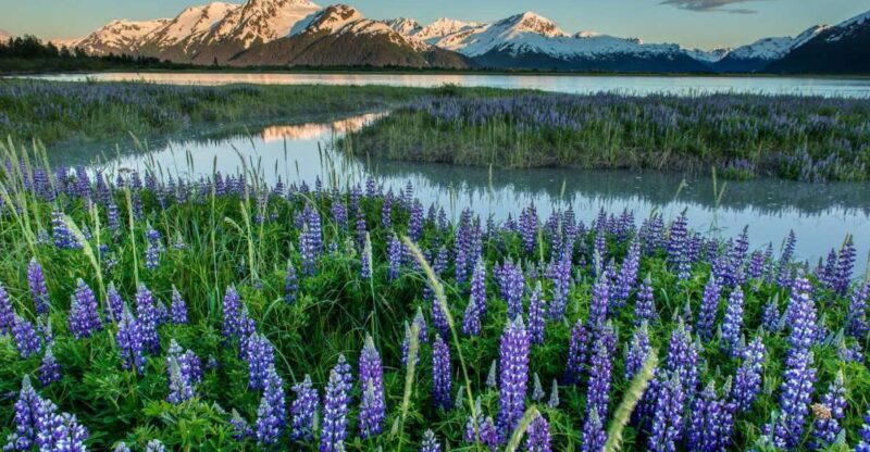 Anchorage: Turnagain Arm Highlights Photography Day Trip - Activity Pricing
