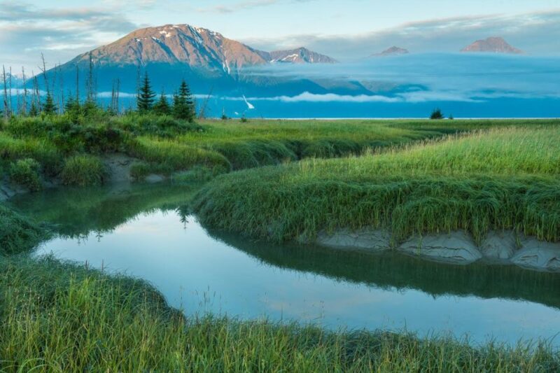 Anchorage: Turnagain Arm Highlights Photography Day Trip - Photography Instruction