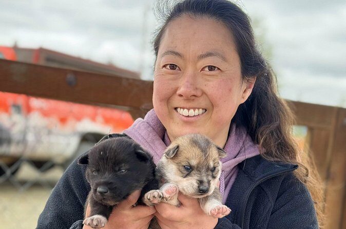 Anchorage's Authentic Dog Sledding Experience - Who Will Love This Tour?