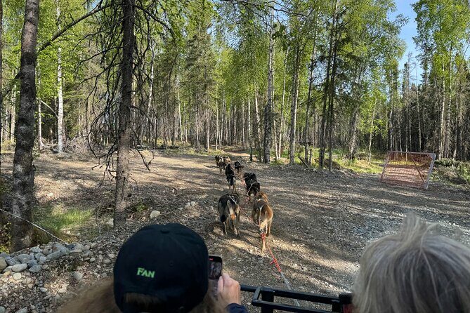 Anchorage's Authentic Dog Sledding Experience - Final Thoughts
