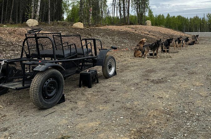 Anchorage's Authentic Dog Sledding Experience - FAQs