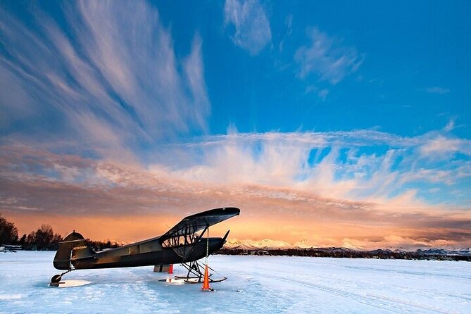 Anchorages Winter City Tour = Samples + Stops + WildLife - Preparing for the Tour
