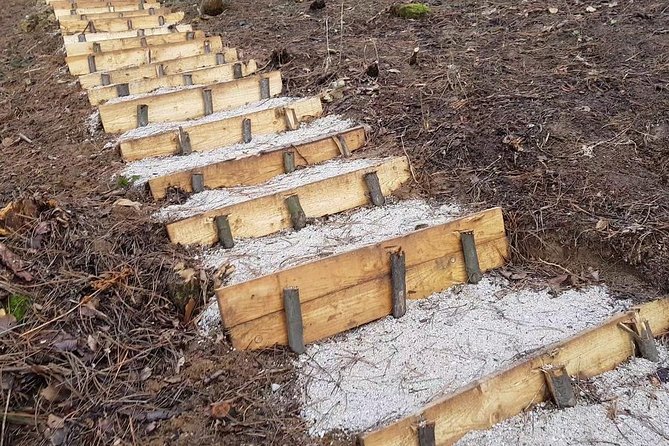 Ancient Bosnian Pyramid of the Sun - Evaluating the Tours Positive Reviews