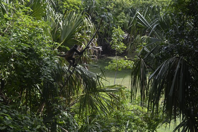 Ancient Chacchoben Mayan Ruins From Costa Maya - Accessibility Considerations
