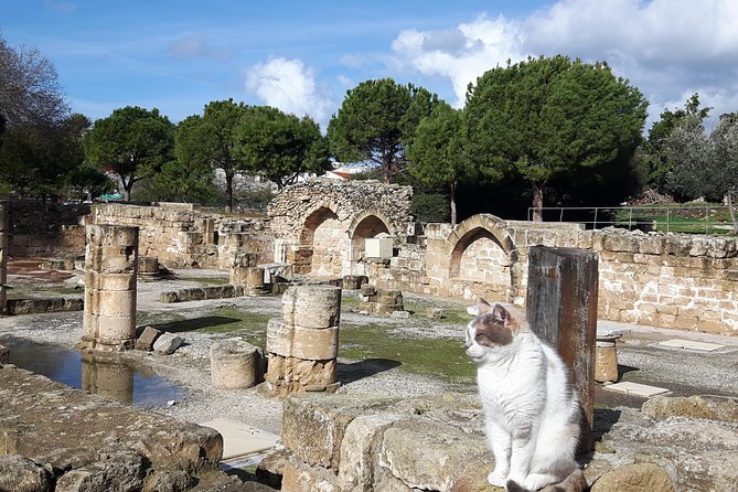 Ancient City Of PAPHOS - Key Points