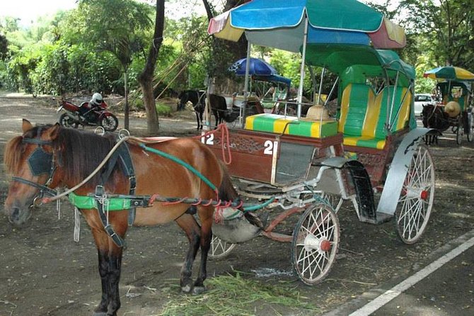 Ancient City of Wiang Kum Kam & Wat Chiang Man - Cancellation and Review Details