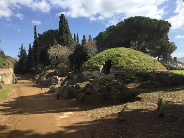 Ancient Etruscan Civilization Tour From Rome - Key Points