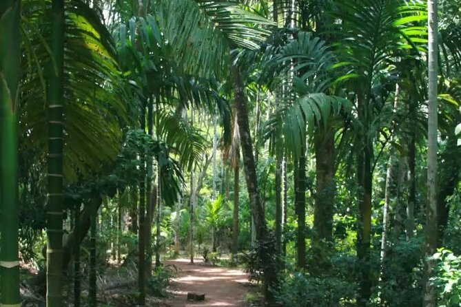 Ancient Goa Tour With Archaeologist or Local Guide - Highlights of the Tour