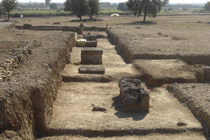 Ancient Greek ( Workout ) All Inclusion From Katakolo Port - Overview of the Activity