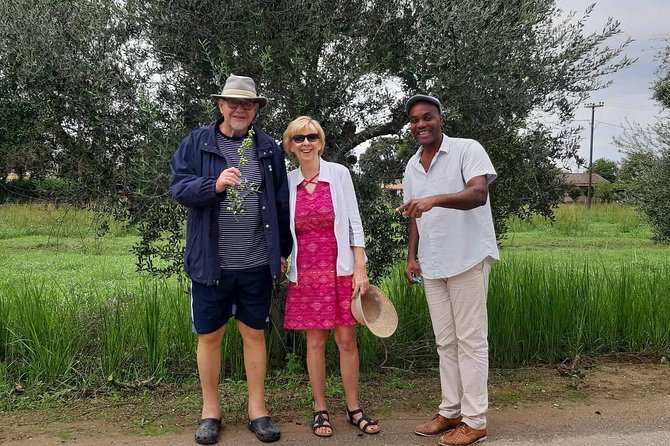 Ancient Greek ( Workout ) All Inclusion From Katakolo Port - Highlights of the Experience