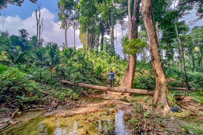Ancient Lava Stream Trek Through Dense Tropical Forest. - Meeting Point and Pickup