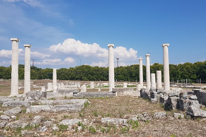 Ancient Macedonia Tour (Pella & Vergina) From Skopje - Tour Conditions
