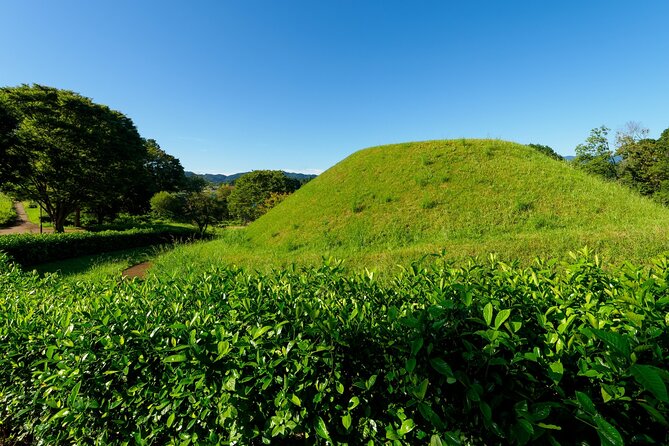 Ancient Nara Walking and Cycling Tour in Asuka - Cancellation Policy