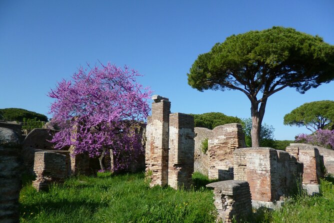 Ancient Ostia Full Day Tour With Pick up - Booking Information