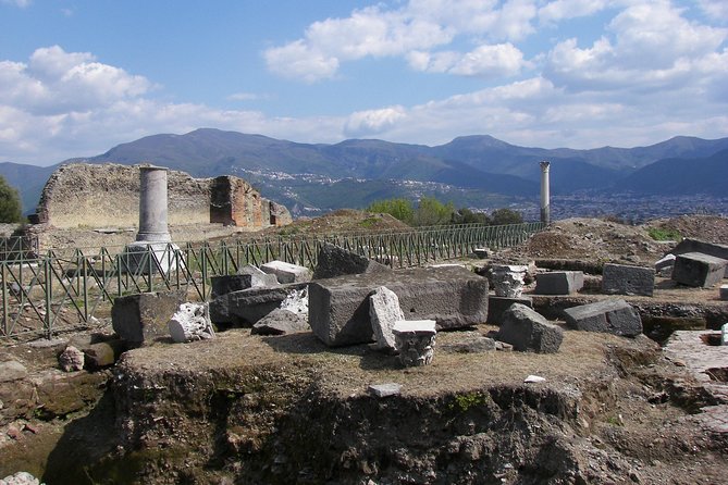 Ancient Pompeii up to the Vesuvius Tour With Local Guide & Driver From Naples - Tour Conditions