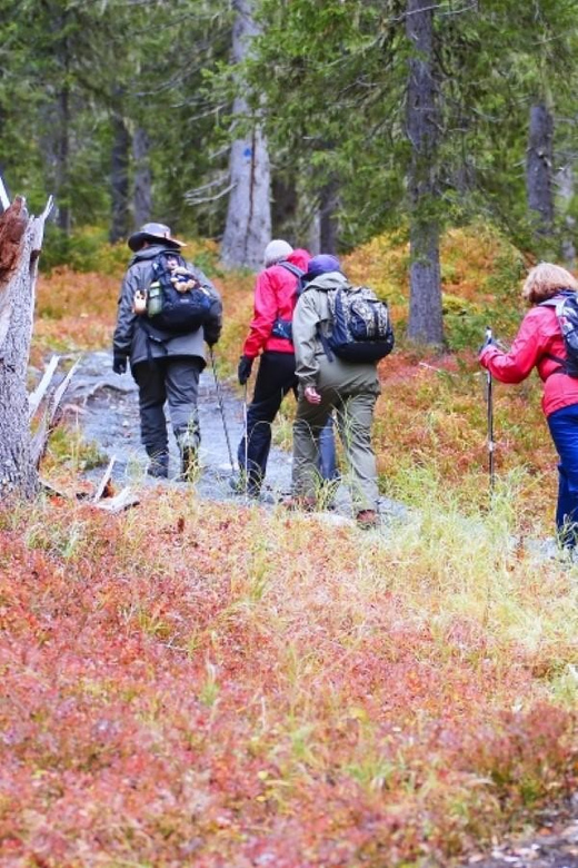 Ancient Rock Paintings: Quided Tour to Astuvansalmi - Booking and Cancellation Policies