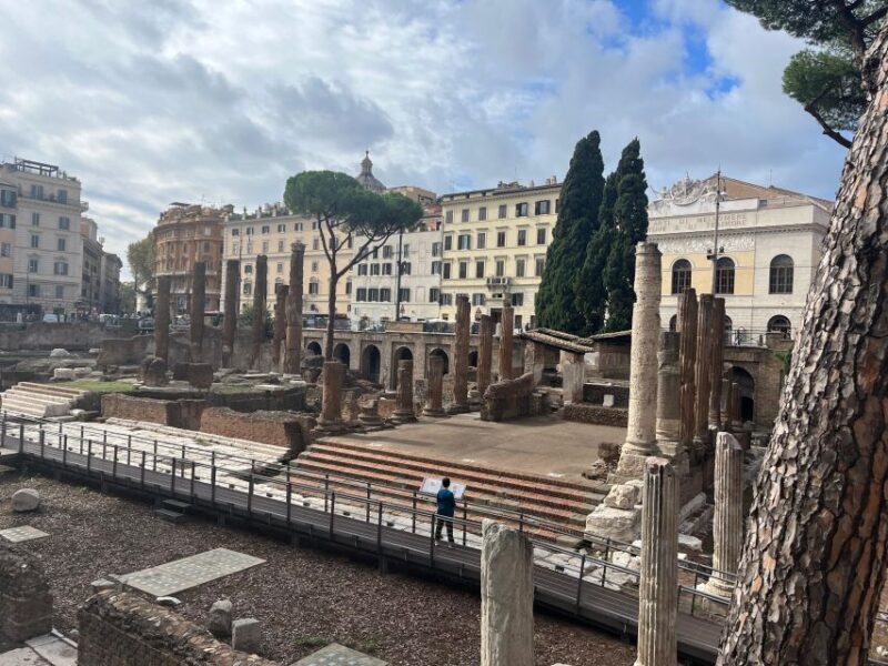 Ancient Rome: Archeological Area Largo Argentina - Visitor Experience