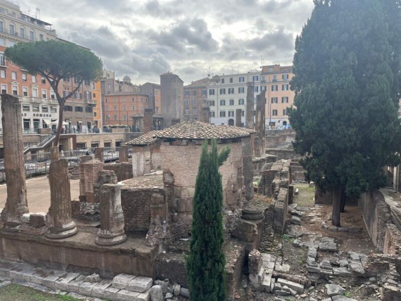 Ancient Rome: Archeological Area Largo Argentina - What to Bring