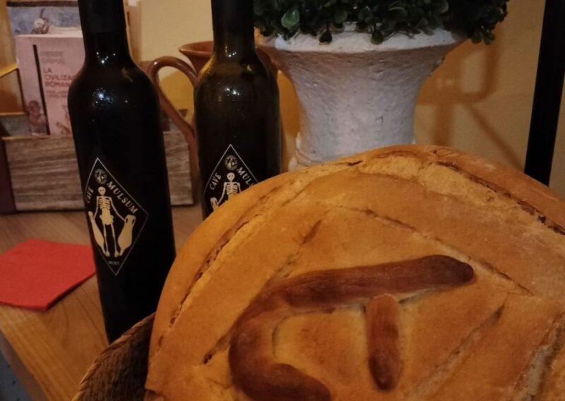 Ancient Rome Gastronomic Experience - Wine Tasting - Location and Itinerary