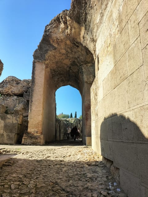 Ancient Rome in Seville: Exclusive Italica Guided Tour - Insights Into Itálicas Storied History