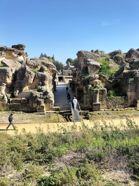 Ancient Rome in Seville: Exclusive Italica Guided Tour - Deciphering the Captivating Mosaics