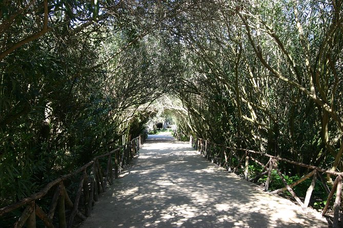 Ancient Syracuse: Private Guided Tour of the Neapolis Archaeological Park - Inclusions and Additional Information