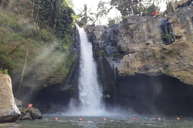 Ancient Temples Tours, Waterfall and Coffee Plantation - Reviews and Ratings