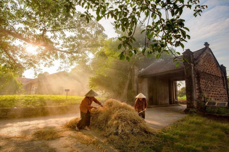 Ancient Treasures: Private Duong Lam & Van Phuc Village Tour - Inclusions and Exclusions