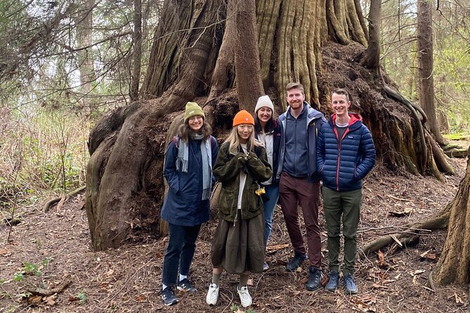 Ancient Trees of Vancouver Walking Tour - Highlights