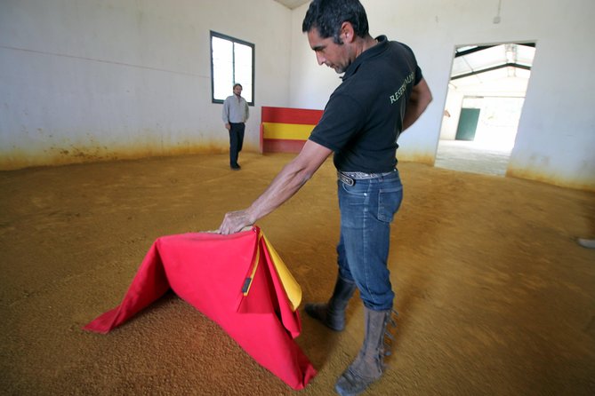 Andalucia Bull and Horse Farm and Ronda Private Tour From Malaga - Accessibility and Conditions