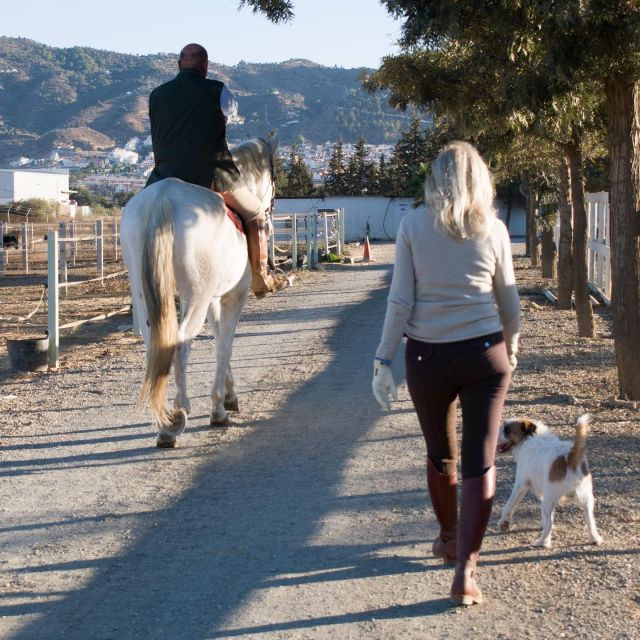 Andalusia: Horse Riding Tour With Picnic - Picnic Included