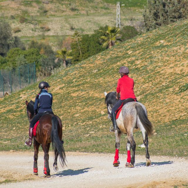 Andalusia: Horse Riding Tour With Picnic - Availability and Booking