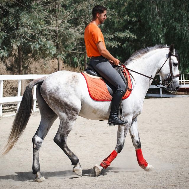 Andalusia: Horse Riding Tour With Picnic - Experience Level