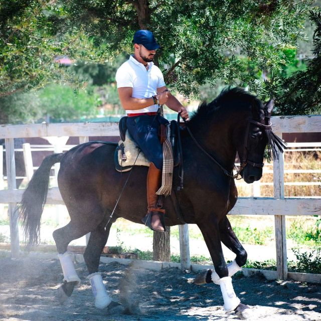 Andalusia: Horse Riding Tour With Picnic - Scenic Countryside Views