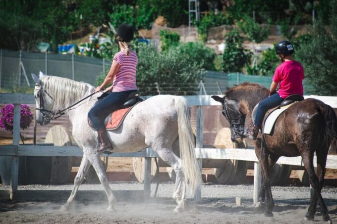 Andalusia: Horse Riding Tour With Picnic - Exploring Spanish Culture