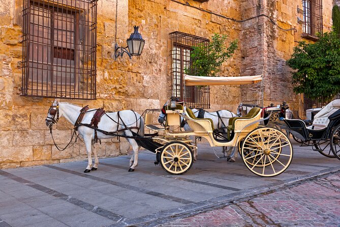 Andalusian Highlights: 6-Day Guided Tour From Madrid - Tour Conditions and Requirements