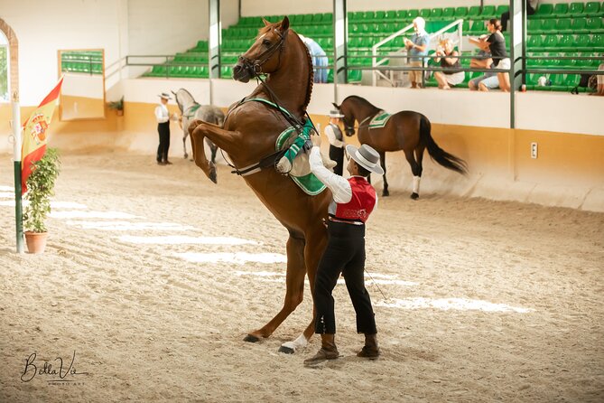 Andalusian Horses and Flamenco Show With Transportation - Inclusions and Amenities