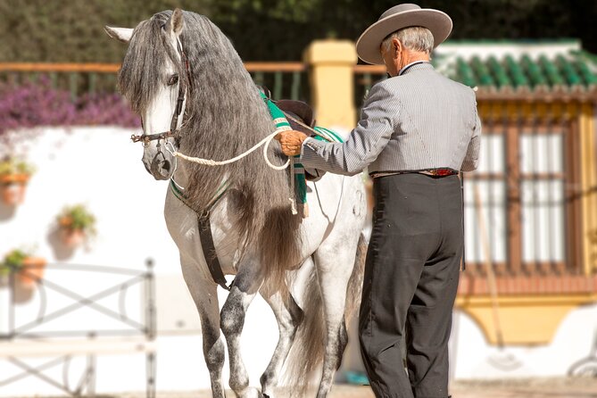 Andalusian Horses and Flamenco Show With Transportation - Pick-up and Transportation Details