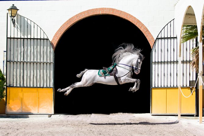 Andalusian Horses and Flamenco Show With Transportation - Cancellation and Refund Policy