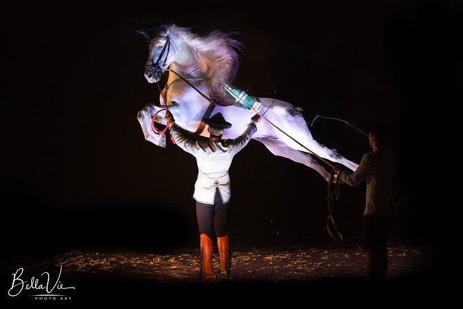 Andalusian Horses and Flamenco Show With Transportation - Accessibility and Mobility