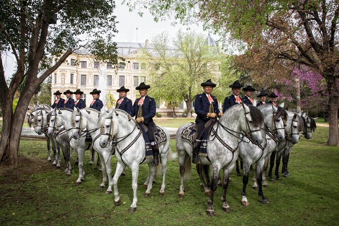 Andalusian Horses Dance Show - Visitor Reviews and Recommendations
