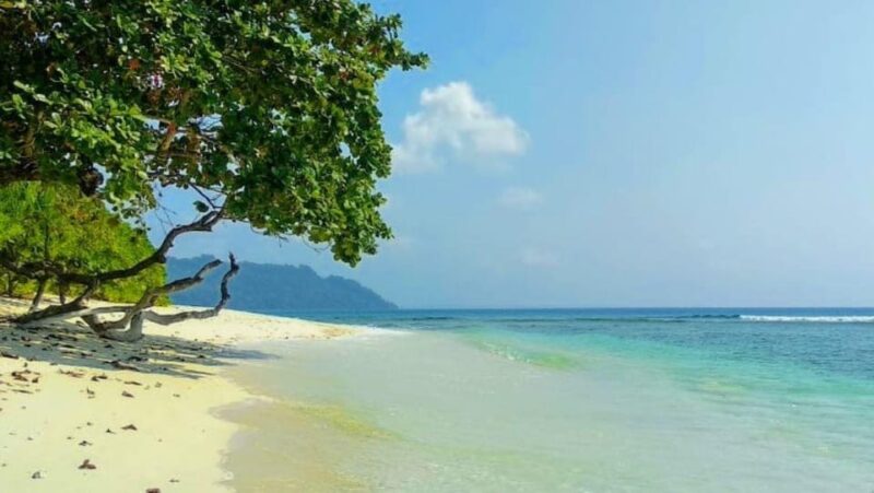 Andaman Adventure With Scuba Diving - 3 Nights 4 Days - Contact Details